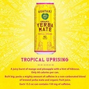 GUAYAKI ORGANIC YERBA MATE ENERGY TROPICAL UPRISING 15.5fl 12ct
