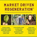 GUAYAKI ORGANIC YERBA MATE ENERGY TROPICAL UPRISING 15.5fl 12ct