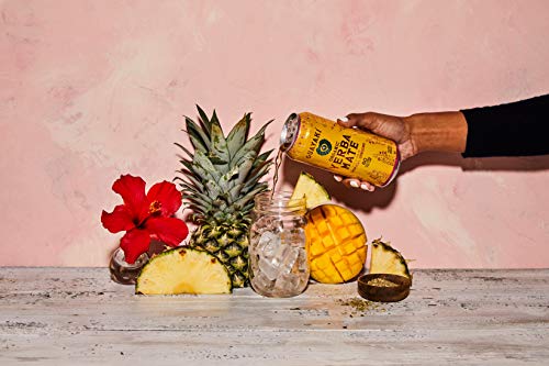 GUAYAKI ORGANIC YERBA MATE ENERGY TROPICAL UPRISING 15.5fl 12ct