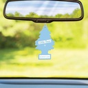 LITTLE TREE AIR FRESHENER RAINFOREST MIST 24pk