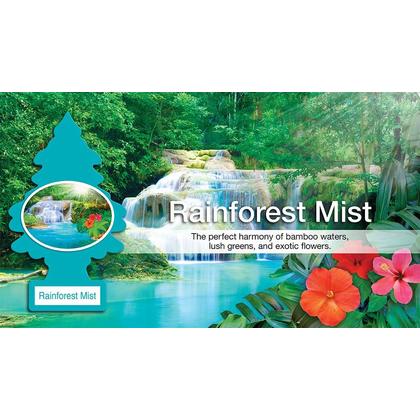 LITTLE TREE AIR FRESHENER RAINFOREST MIST 24pk