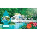 LITTLE TREE AIR FRESHENER RAINFOREST MIST 24pk