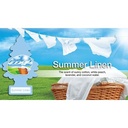 LITTLE TREE AIR FRESHENER RAINFOREST MIST 24pk