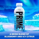 PRIME HYDRATION BERRY FREEZE 12ct/16oz 