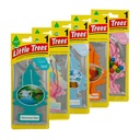 LITTLE TREE AIR FRESHENER RAINFOREST MIST 24pk